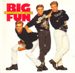 La pochette de l'album&nbsp;: (Big Fun - Handful of promises)