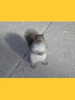 Photo de Jemby