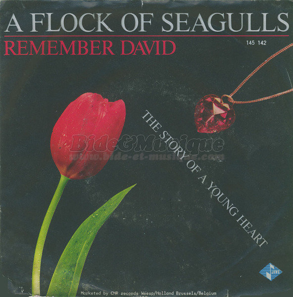 A Flock of Seagulls - 80'