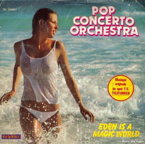 Pop Concerto Orchestra - 80'