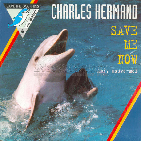 Charles Hermand - Save me now (Ami, sauve-moi)