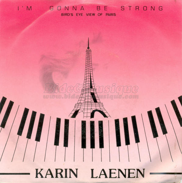 Karin Laenen - Bird's eye view of Paris