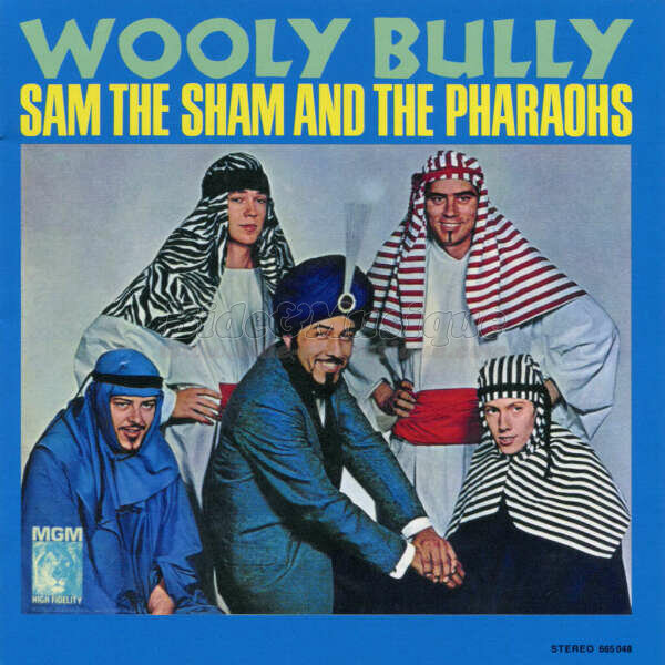 Sam The Sham and The Pharaohs - Sixties