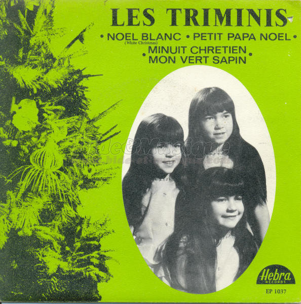 Les Triminis - Mon vert sapin