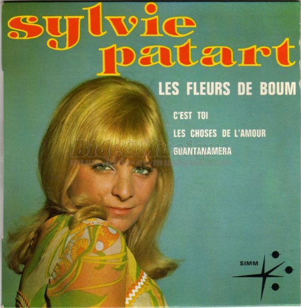 Sylvie Patart - Les fleurs de boum