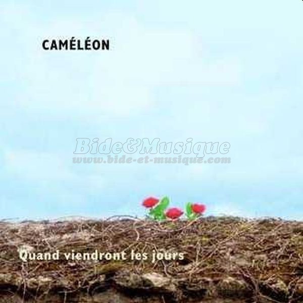 Camlon - Camlon