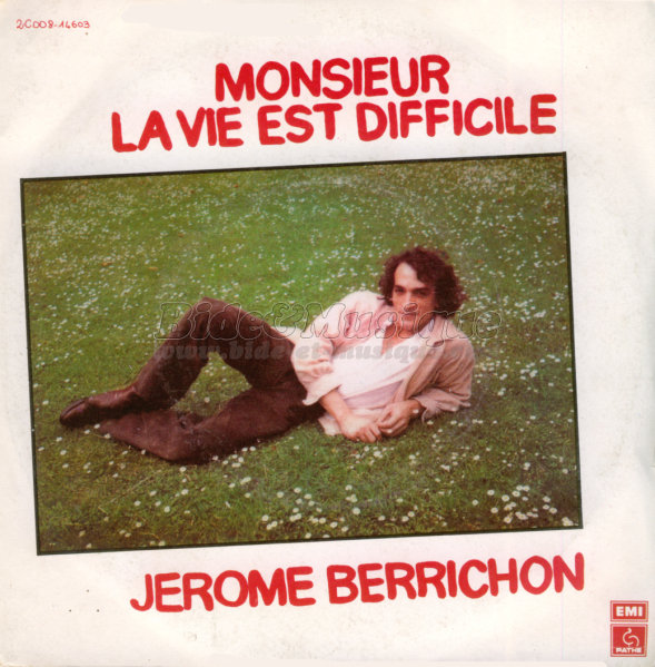 Jrme Berrichon - Monsieur la vie est difficile