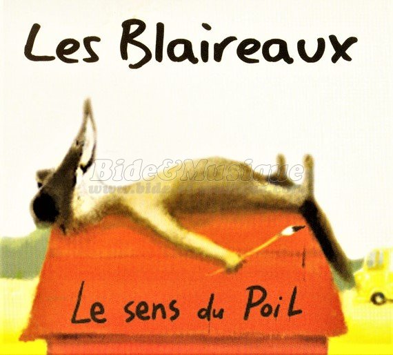 Blaireaux, Les - Bide 2000