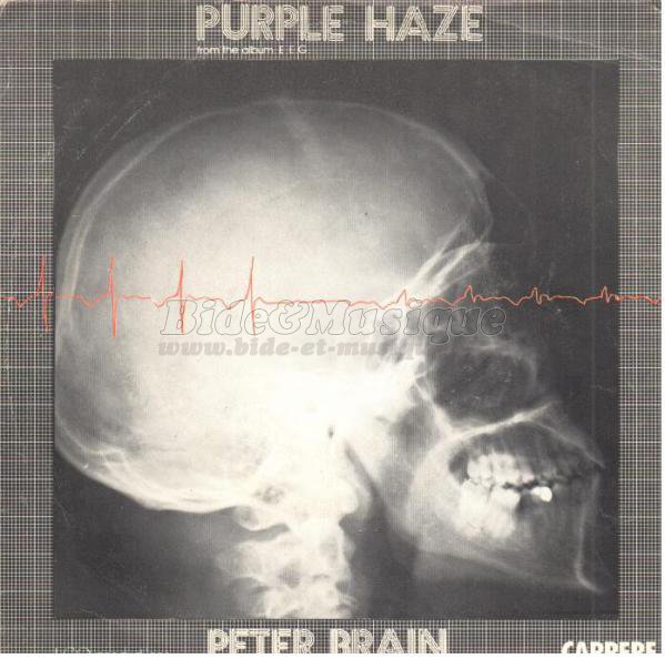 Peter Brain - Purple haze