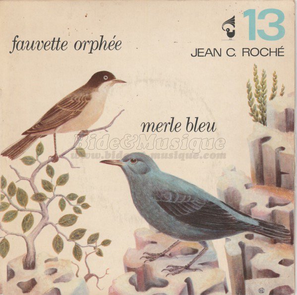 Jean-Claude Roch - Le merle bleu