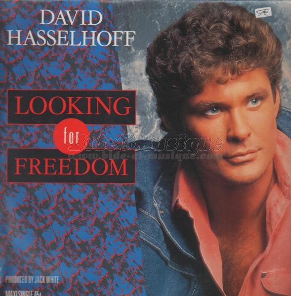 David Hasselhoff - Looking for freedom