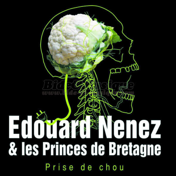Edouard Nenez et les princes de Bretagne - Bide 2000