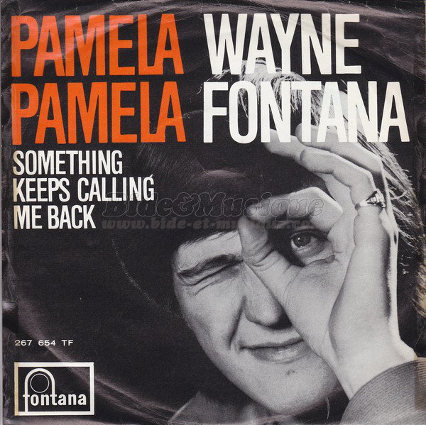 Wayne Fontana - Sixties