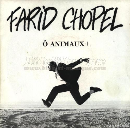 Farid Chopel -  animaux