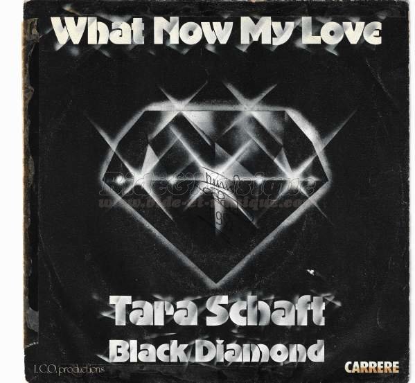 Tara Schaft & Black Diamond - Bidisco Fever