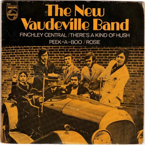 The New Vaudeville Band - There's a kind of hush