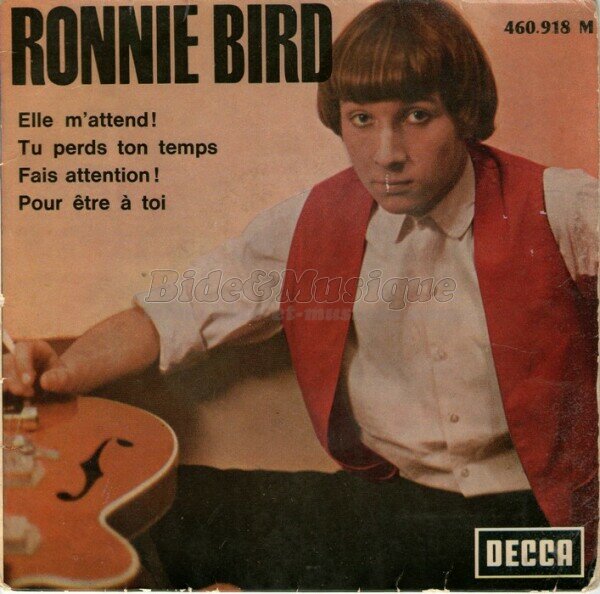 Ronnie Bird - Tu perds ton temps