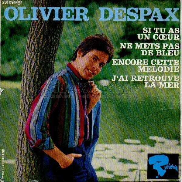 Olivier Despax - Ne mets pas de bleu