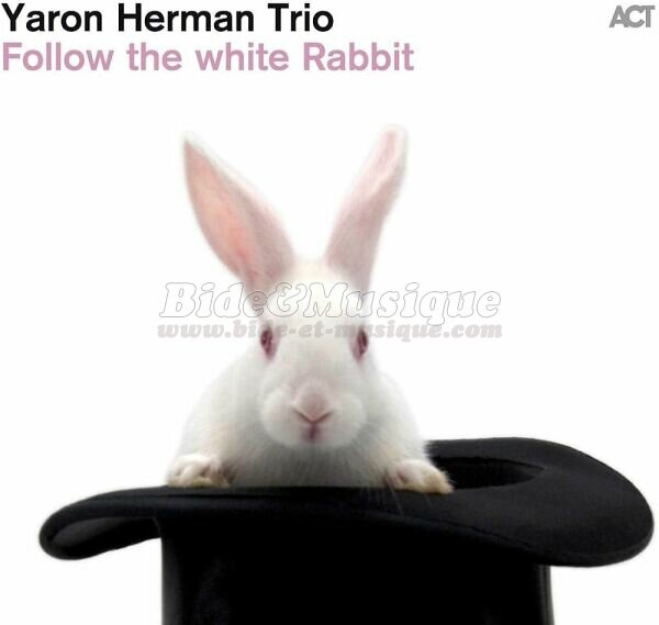 Yaron Herman Trio - Heart shaped box