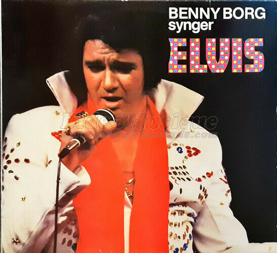 Benny Borg - Du er tonen i min sang