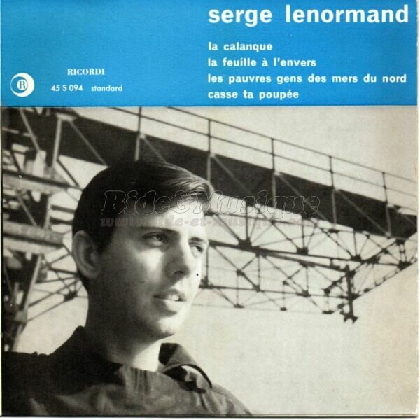Serge Lenormand - La feuille  l'envers