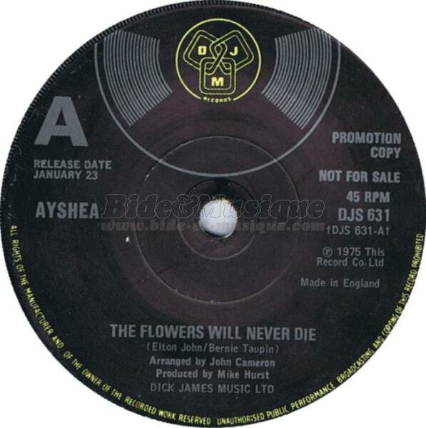 Ayshea - The flowers will never die