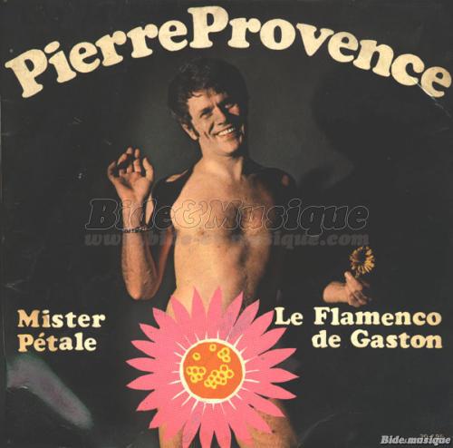 Pierre Provence - Mister Ptale