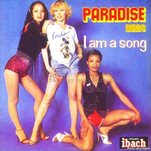 Paradise Birds - Bidisco Fever