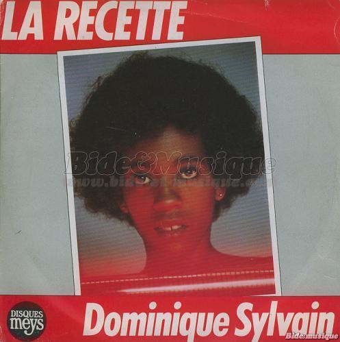 Dominique Sylvain - Politiquement Bidesque