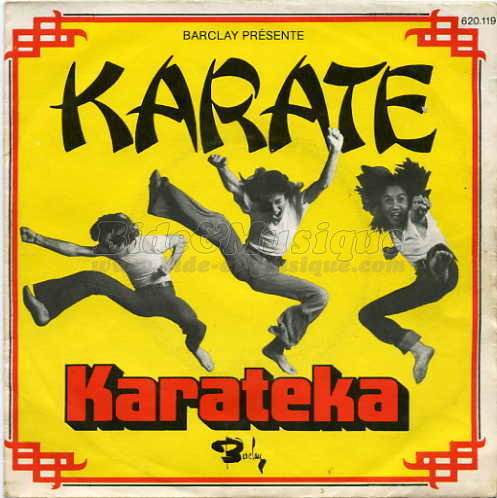 Karateka - Bidasiatique