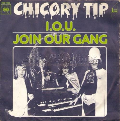 Chicory Tip - 70'