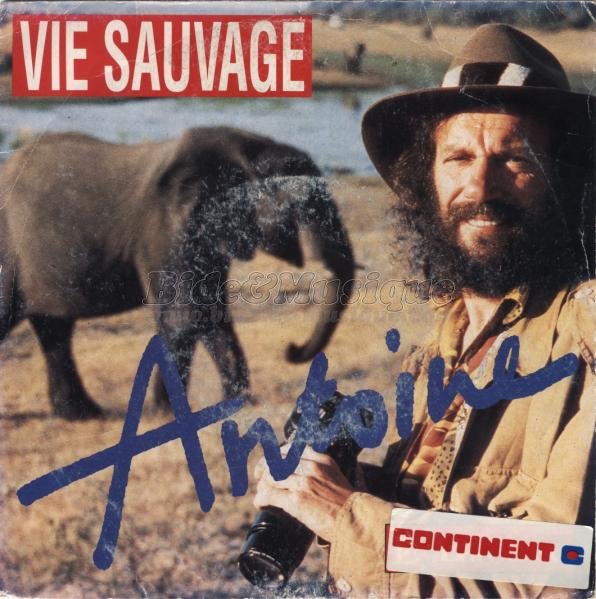 Antoine - Vie sauvage