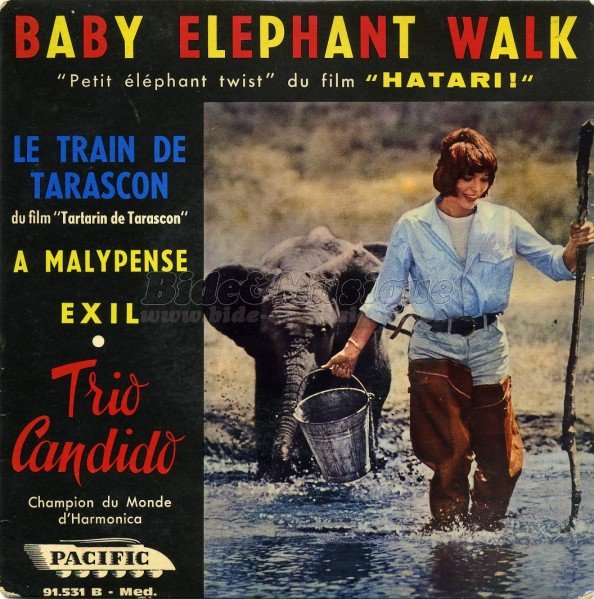 Trio Candido - Baby elephant walk