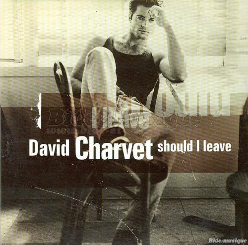 David Charvet - Should I leave
