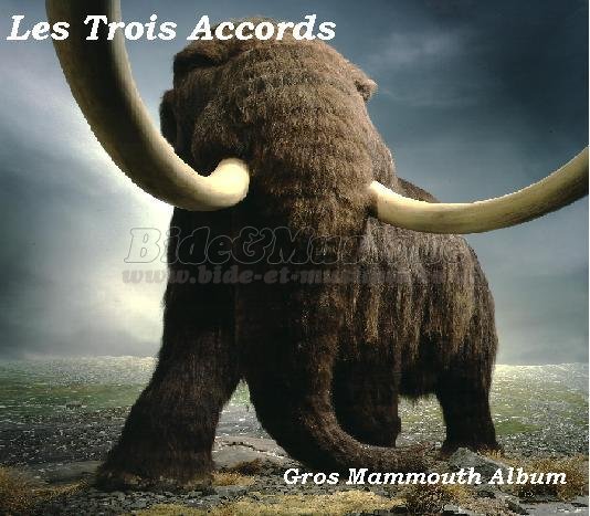 Trois Accords, Les - Bide 2000