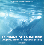 Le chant de la baleine - Le dauphin, l'lphant de mer et l'otarie