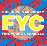Pochette de Fine Young Cannibals - She drives me crazy
