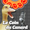 Vignette de Le Coin du canard - mission n29 (trange renard lectoral)