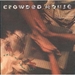 Pochette de Crowded House - Fall at your feet