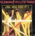 Pochette de Feldman and Yellow hand - Can you feel it