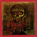 Pochette de Slayer - Skeletons of society