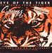 Pochette de Survivor - Eye of the tiger