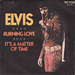 Pochette de Elvis Presley - Burning Love