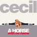 Pochette de Cecil - A horse with no name