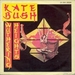 Vignette de Kate Bush - Wuthering heights