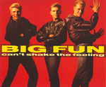 Big Fun - Can't shake the feeling