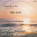 Le verso de la pochette : (Tony Alexi - Je ne suis pas Beethoven)