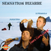  (missions : Sensation Bizarre - Sensation Bizarre n17 (avec Christophe Izard))