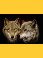 Image de loups