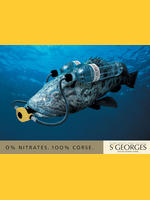 Trombi de boulebill109